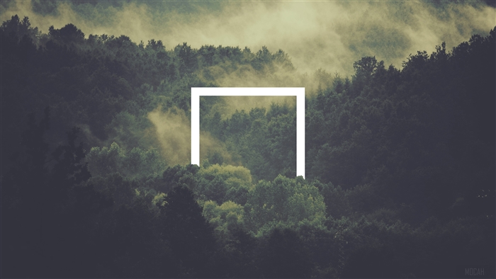 Abstract Square Over Misty Forest 4K