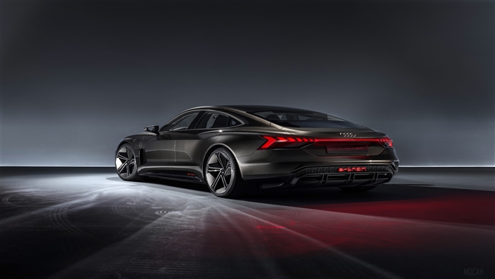 Audi E-tron GT concept rear