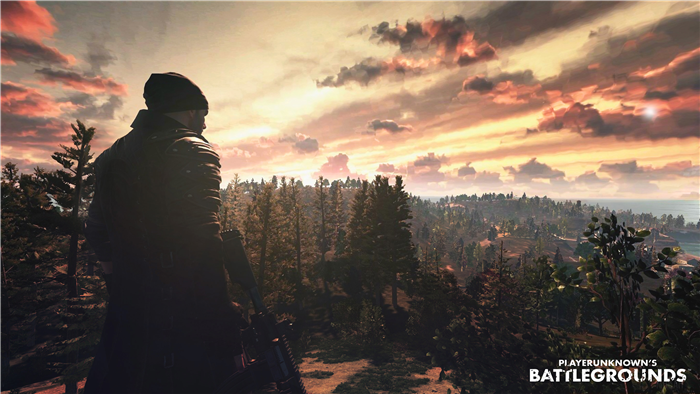 PlayerUnknown's Battlegrounds 4K Game Poster