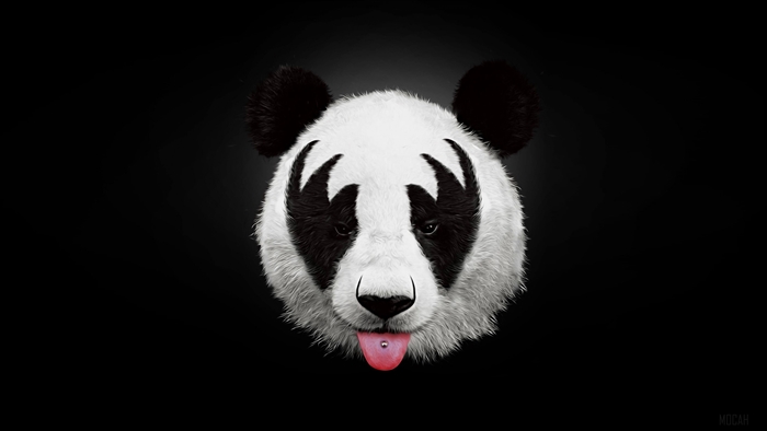 Panda with KISS makeup 4K