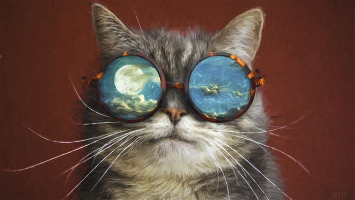 Artistic Cat Wearing Sunglasses with Moon Reflection 4K