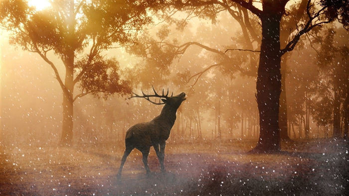 Deer in a misty forest during snowfall