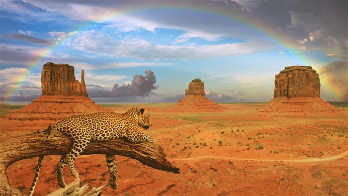 Fantasy Leopard and Rainbow in Monument Valley 4K