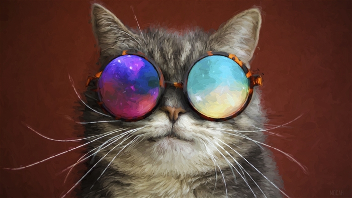 Cat Wearing Colorful Round Glasses