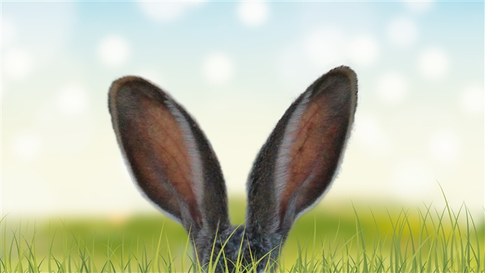 Rabbit Ears In The Grass