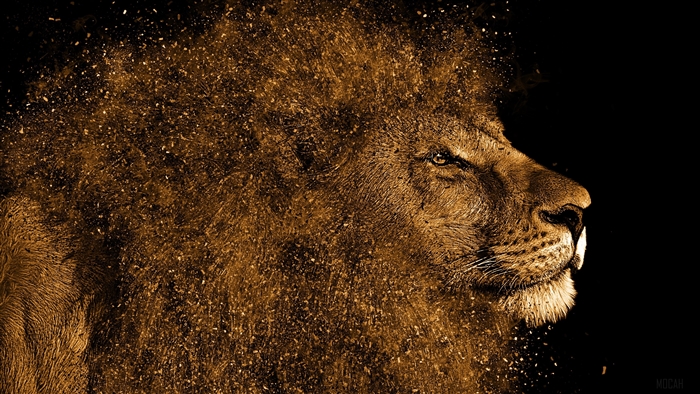 Lion Art