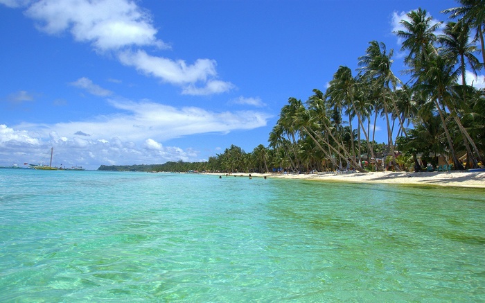 Tropical beach with palm trees and turquoise water