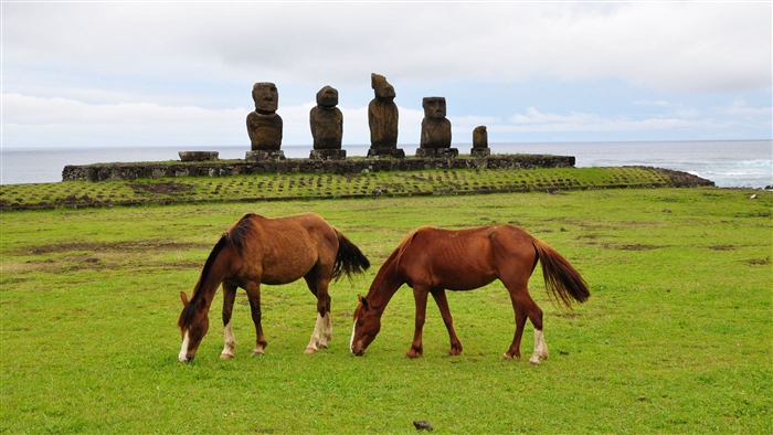 Horses grazing in front of Moai statues on Easter Island