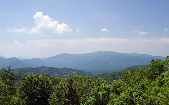 Mountain range with green trees and blue sky