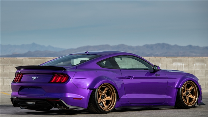 TJIN Edition Ford Mustang EcoBoost 2018 Rear