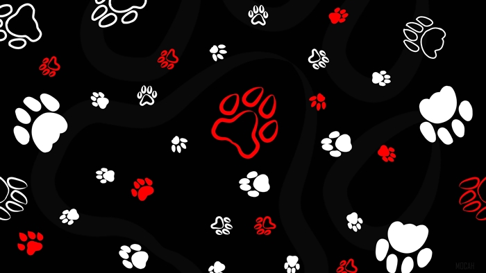 Paw prints pattern art 4K