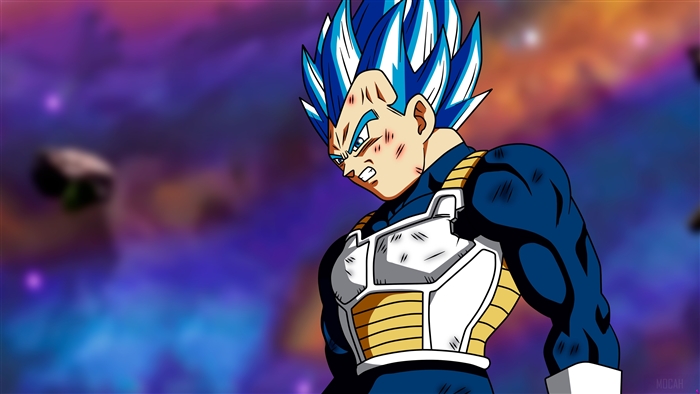 Vegeta from Dragon Ball Super 4K