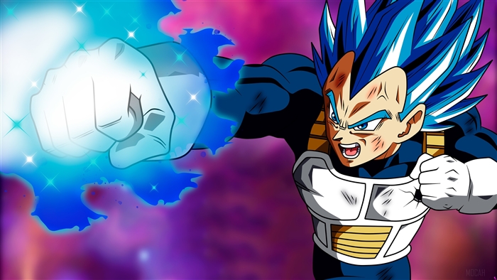 Vegeta from Dragon Ball Super using Destructor Punisher