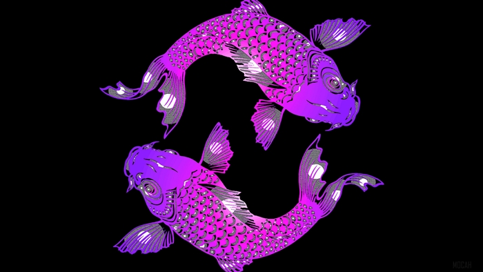 Two purple koi fish in yin and yang formation, art 4K