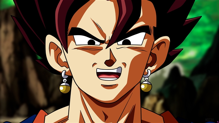 Vegito from Dragon Ball Super 4K