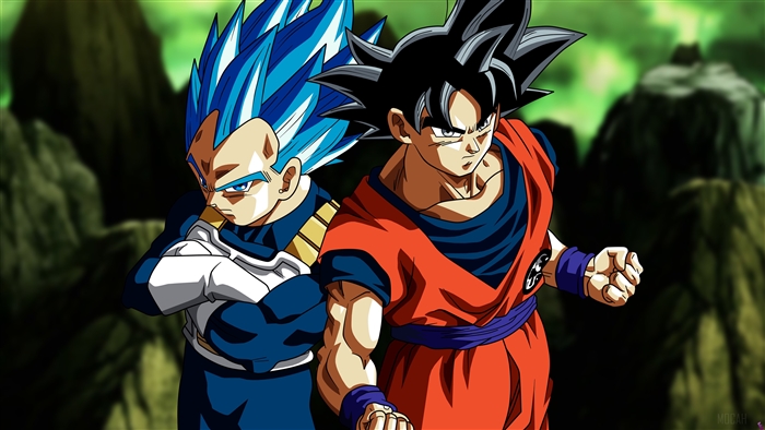 Son Goku and Vegeta from Dragon Ball Super 4K