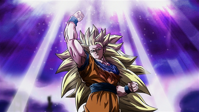 Goku from Dragon Ball Z in Super Saiyan 3 form