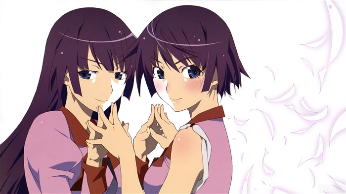 Two girls from Bakemonogatari