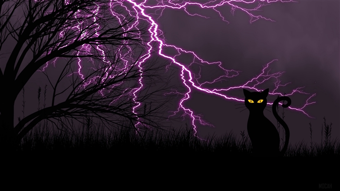 Black cat in lightning storm art 4K