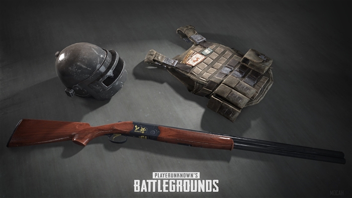 Player Unknown's Battlegrounds (PUBG) Helmet, Vest, and Shotgun 4K