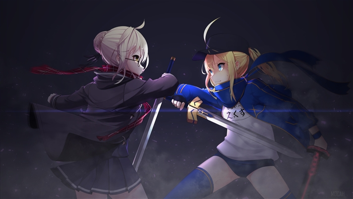 Heroine X and Saber from Fate/Grand Order 4K
