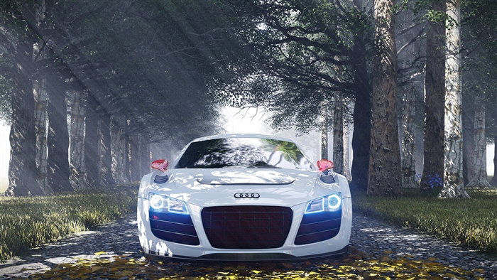 White Audi R8 Special Edition 4K