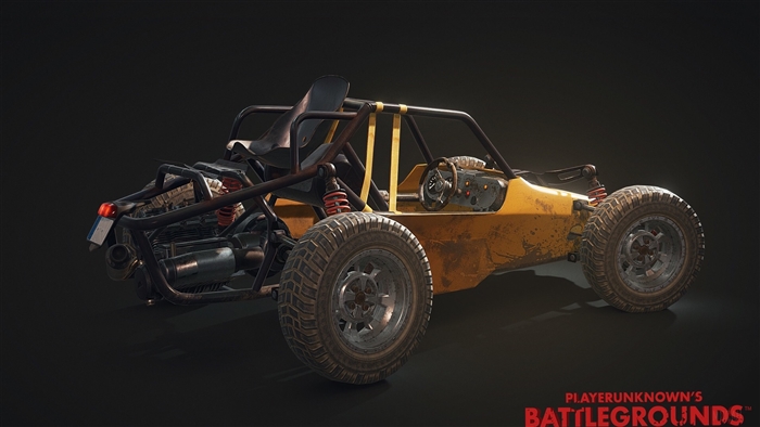 Player Unknown's Battlegrounds buggy 4K