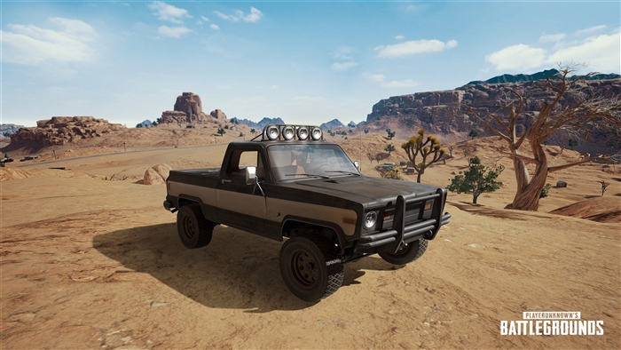 Player Unknown's Battlegrounds (PUBG) 4K