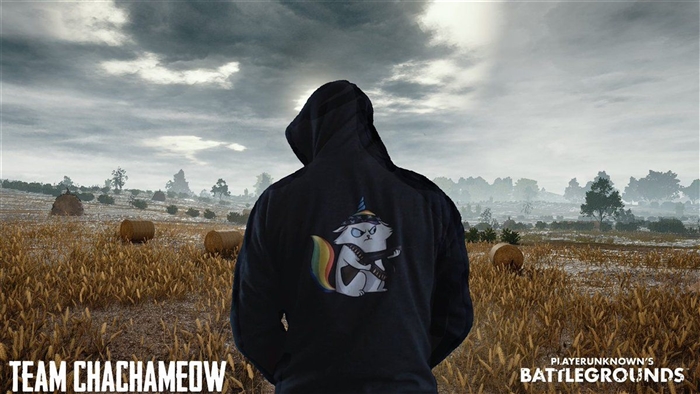 PlayerUnknown's Battlegrounds Team Chachameow 4K