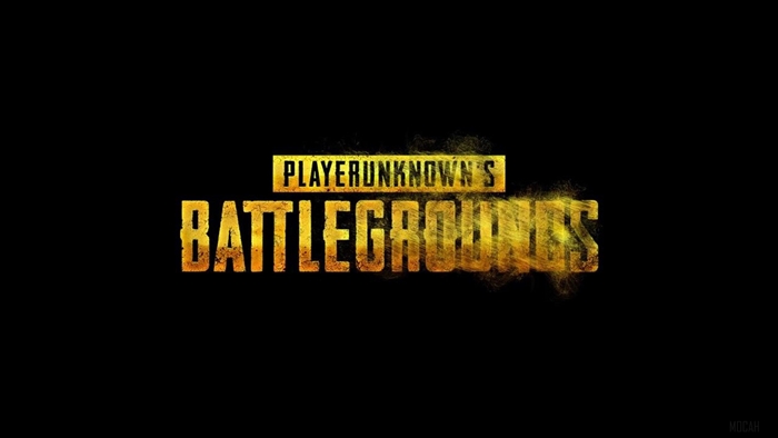 PlayerUnknown's Battlegrounds (PUBG) 4K