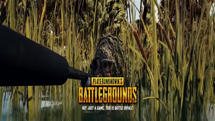PlayerUnknown's Battlegrounds camouflage 4K