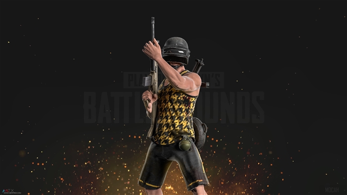 PlayerUnknown's Battlegrounds character with rifle 4K