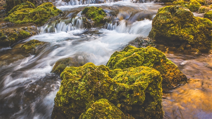 Mossy stones in a flowing stream 4K
