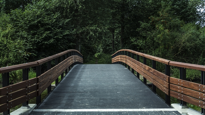 Wooden bridge in a forest park 4K