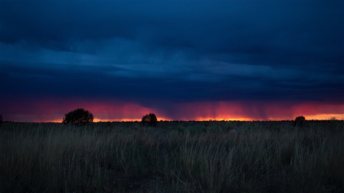 Sunset over a field with grass and clouds 4K