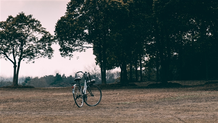 Bicycle in a clearing with trees and overcast sky 4K
