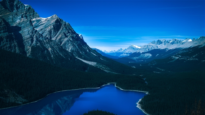 Peyto Lake and Mountains in Canada 4K