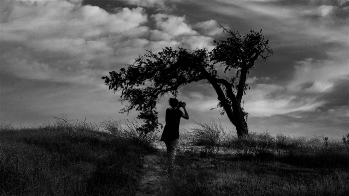Photographer under a tree with clouds 4K