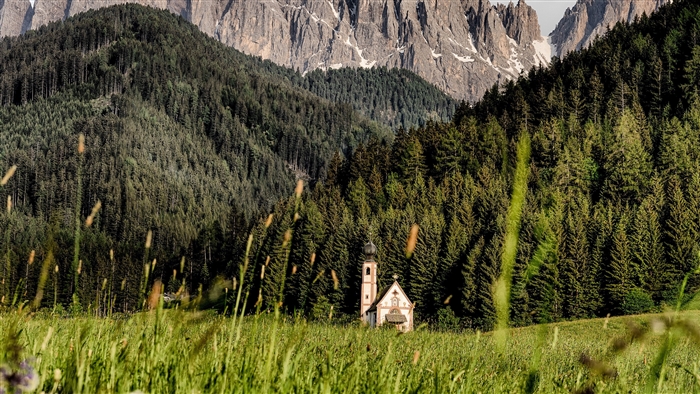 Church in a green field with mountains and forest