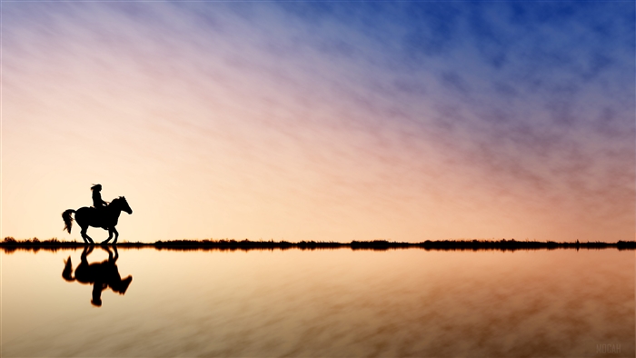 Silhouette of a rider on a horse against a sunset skyline 4K
