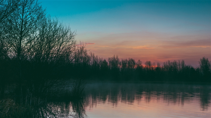 Lake with fog and trees at sunset 4K
