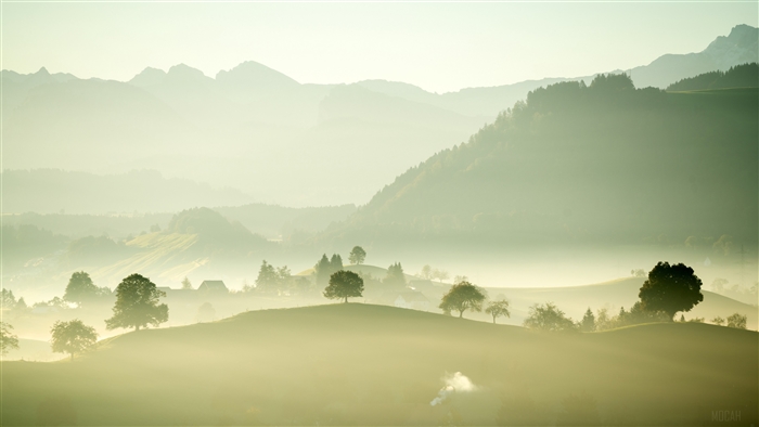 Misty valley with trees and mountains 4K