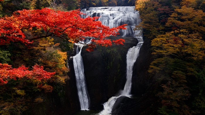 Autumn waterfall with red and yellow trees