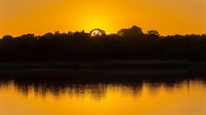 Sunset over lake with trees and reflection 4K