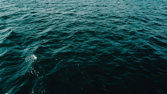 Ocean Surface with Waves 4K