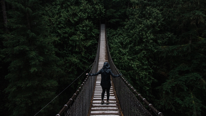 Person on suspension bridge in forest 4K