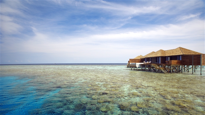 Overwater bungalows in the Maldives 4K