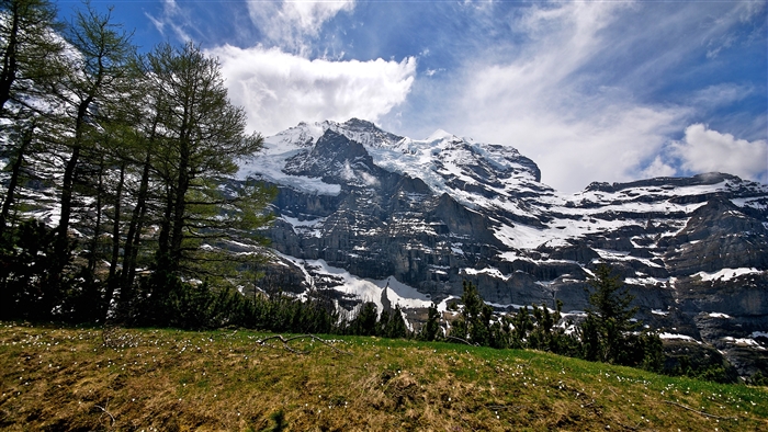 Snow-capped mountains and trees under a cloudy sky 4K