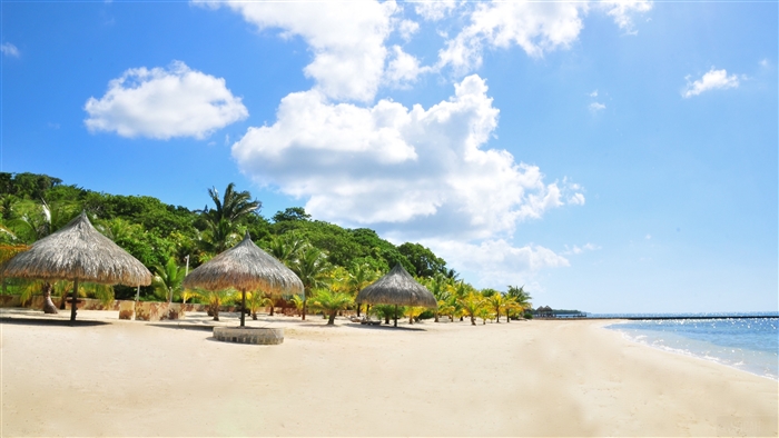 Tropical beach with palm trees and thatched umbrellas 4K