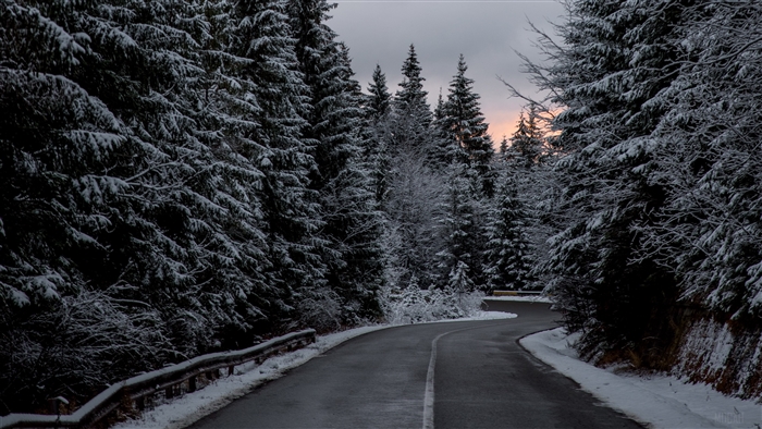 Winding road through snow-covered pine forest in winter